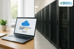 SAP Business One Cloud vs On-Premise: Mana yang Efisien?