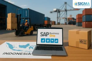 SAP Business One untuk Import & Wholesale Indonesia